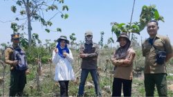 cdk madiun