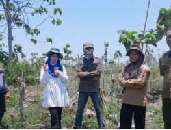 CDK Wilayah Madiun Uji Petik Monev RTT Semester I Tahun 2025 di Perhitani KPH Nganjuk