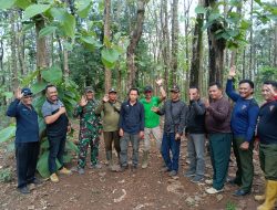 Perhutani Jombang Bersama TNI Kawal Suksesnya Tanaman