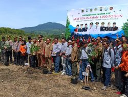 Perhutani Dukung Aksi Penanaman Tanaman 1.000 Pohon Oleh PWI Nganjuk