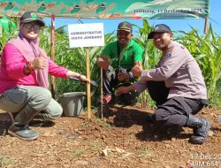 Perhutani Jombang Tanam 47 Ribu Pohon, di Hutan Lebak Jabung Bersama Muspika Wonosalam