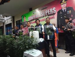 Polres Jombang Ungkap Kasus Narkotika, Barang Bukti Dihadirkan Saat Konferensi Pers