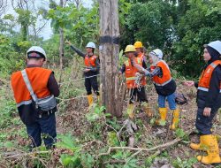 Perhutani Nganjuk Dampingi KJPP dalam Verifikasi Aset Biologis dan Non Biologis