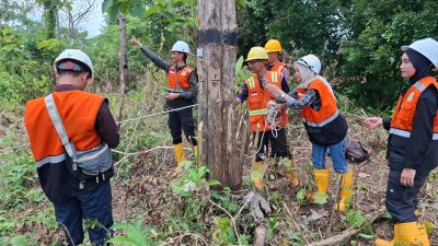 Perhutani Nganjuk Dampingi KJPP dalam Verifikasi Aset Biologis dan Non Biologis