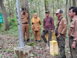 Perhutani Dukung Peningkatan Pelebaran Bahu Jalan Bojonegoro – Nganjuk