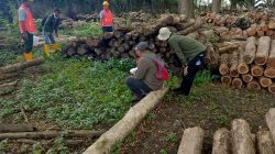 Perhutani Nganjuk Dampingi Cabang Dinas Kehutanan (CDK) Periksa Tebangan D2