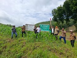 Perhutani Nganjuk Kawal Uji Petik Evaluasi RTT Semester II 2025