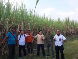 Perhutani KPH Nganjuk Tinjau Lokasi Agroforestry Tebu Mandiri (ATM) Bersama Tim Penilai Publik