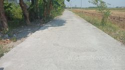 Diduga Dikerjakan Tidak Sesuai Spek, Rabat Beton Desa Kedungrejo Rusak