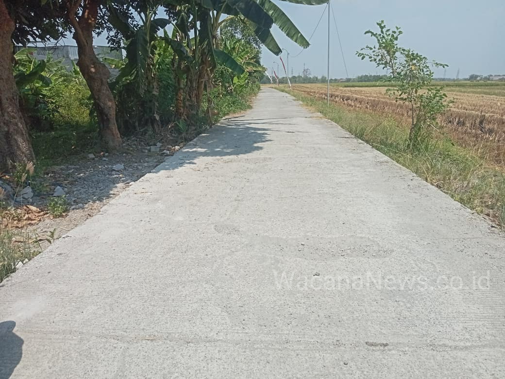proyek desa kedungrejo